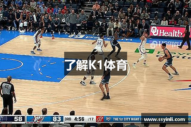 了解K1体育
